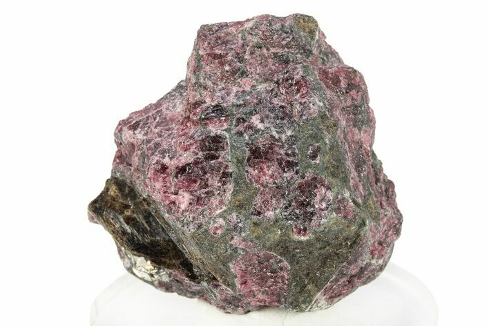 Eudialyte Specimen - Kukisvumchorr Mountain, Russia #260981